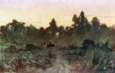 Morgendämmerung im Wald